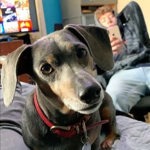 Meet your Posher, Mason